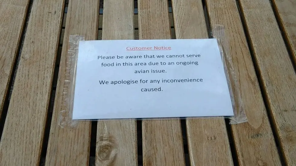 Wetherspoon Aberystwyth garden shuts amid bird issues