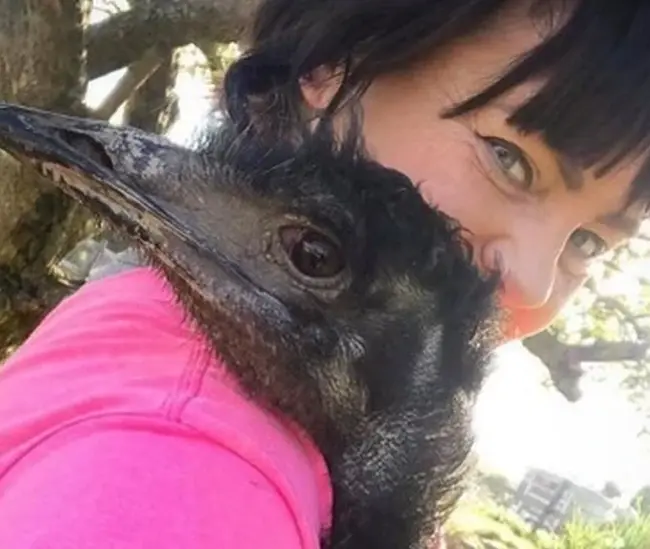 Kent charity fined over escape of 'ladies' man' emu