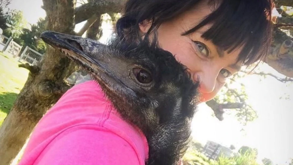 Kent charity fined over escape of 'ladies' man' emu