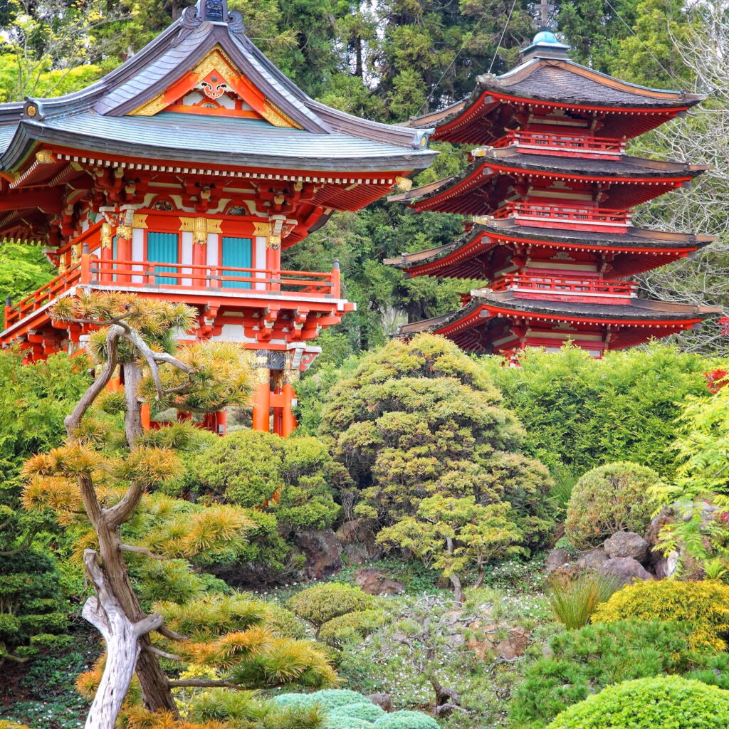 Where to Go in Japan